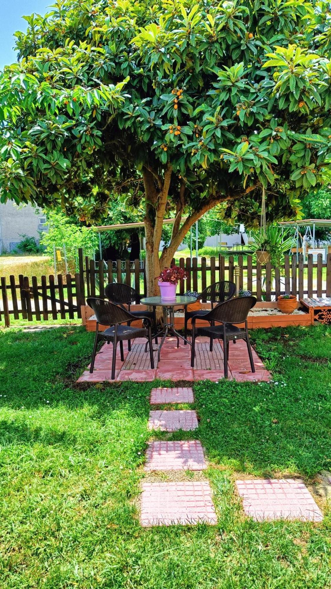 Garden House Katerina Aparthotel Leptokaryá Ngoại thất bức ảnh