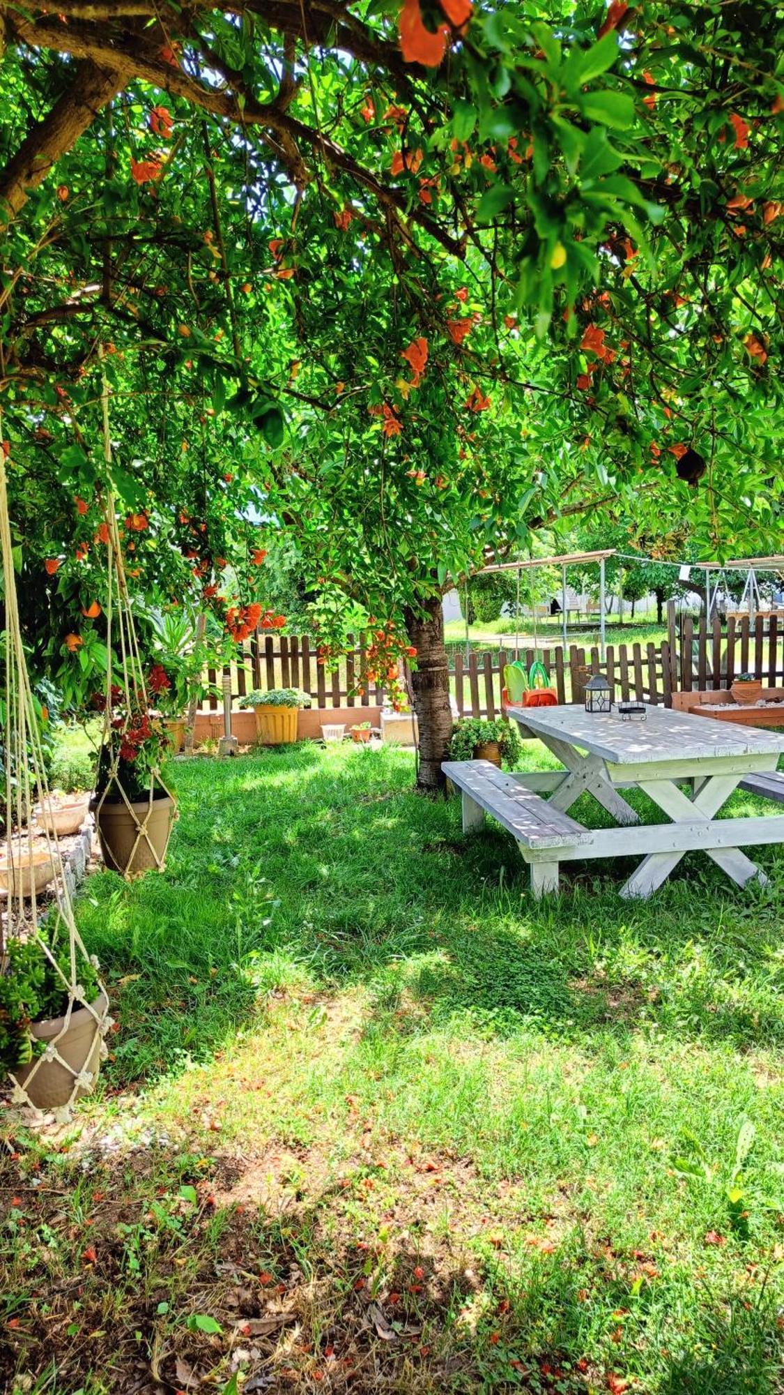 Garden House Katerina Aparthotel Leptokaryá Ngoại thất bức ảnh